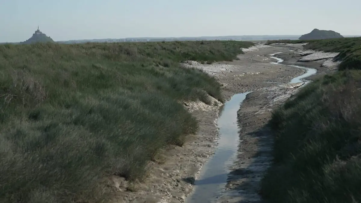 La guerre des moutons