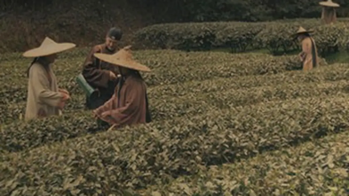 La guerre du thé, les aventures de Robert Fortune