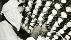 La guerre moderne, mode d'emploi