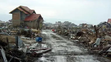 L'espoir d'une paix durable 1944-1949