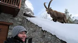 Visuel de Là-haut sur la montagne