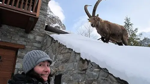Là-haut sur la montagne