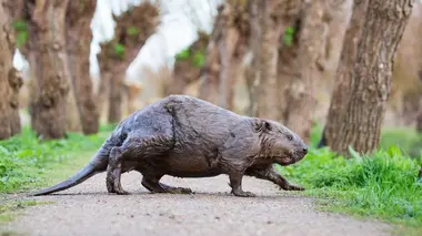 Dans l'oeil du delta