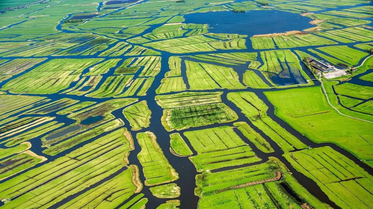 La Hollande sauvage E02 La faune des polders