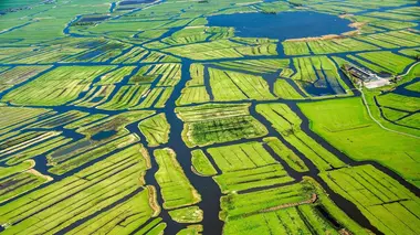 La faune des polders