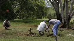 Visuel de La Isabela, l'échec du Nouveau Monde
