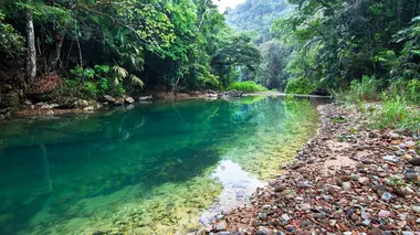 La jungle, mon père et Ed Stafford