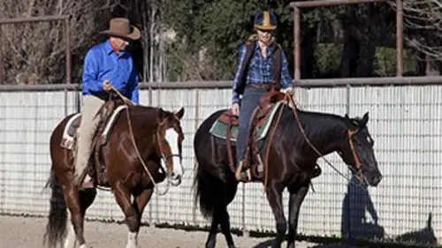 La leçon indispensable de Monty Roberts