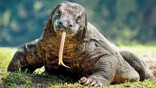 La ligne Wallace S01E02 Là où les deux mondes se rencontrent