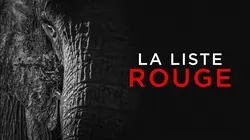 La liste rouge E05 Les guépards