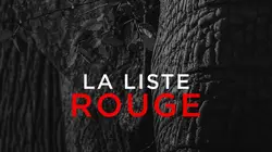 La liste rouge E04 Les bucorvidés