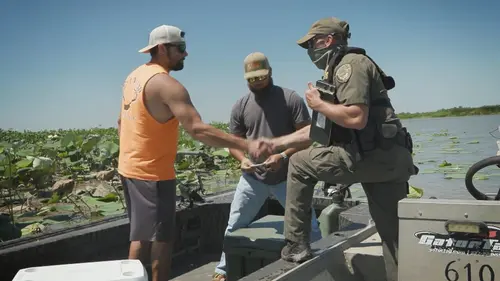 La loi de la Louisiane Alligator vaudou