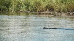 Sur Discovery Channel à 21h00 : La loi de la Louisiane
