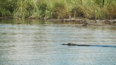 Chasseur hors-la-loi