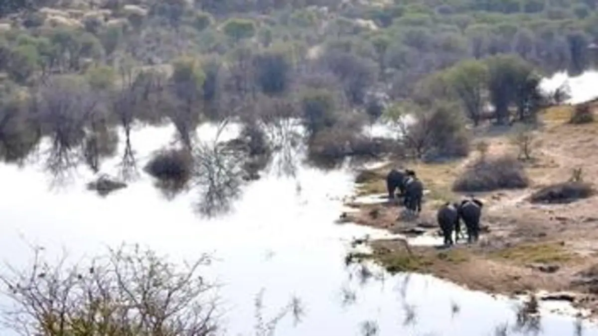 La loi de la survie La loi du plus fort