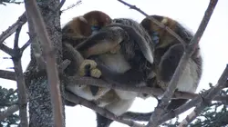 La loi de la survie S02E01 Petits mais costauds