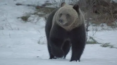 La loi de la survie S02E04 Les mondes de glace