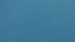 La loi des requins