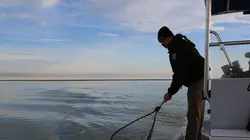 Visuel de La loi du Texas