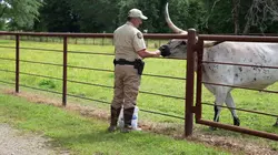 Sur Discovery Channel à 21h00 : La loi du Texas