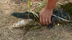 La loi du Texas Patrouille du golfe