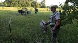 La loi du Texas Balles perdues