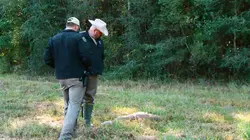 La loi du Texas Petite ville tranquille ?