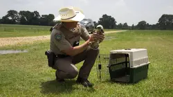 La loi du Texas Le calme après la tempête