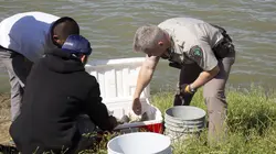 La loi du Texas Sonnés