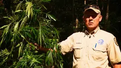 La loi du Texas Sonnés