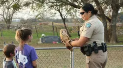 La loi du Texas Braconnage de cerf