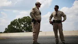 La loi du Texas Combat de cerfs