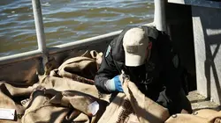 La loi du Texas Irresponsable et dangereux