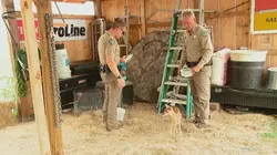 La loi du Texas La fête bat son plein