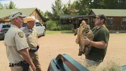 La loi du Texas L'appât