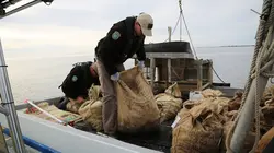 La loi du Texas À la poursuite d'un fantôme