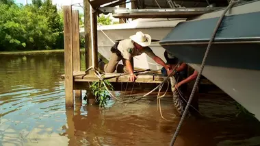 Gardes-chasses contre alligator