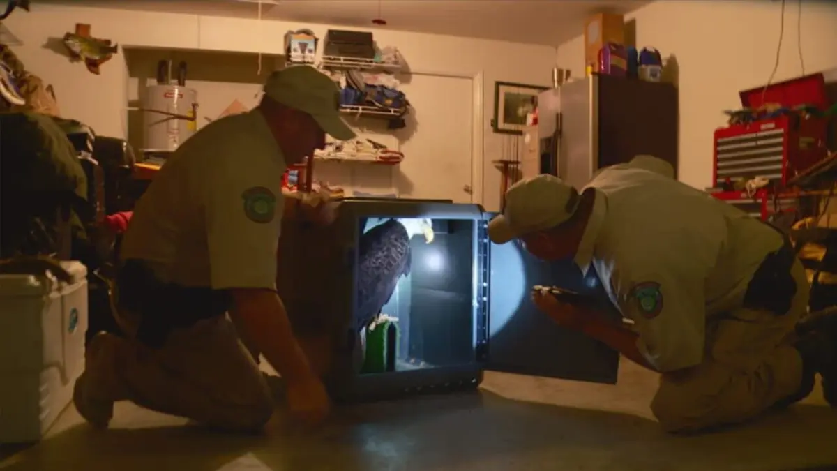 La loi du Texas Sous couverture