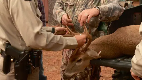 La loi du Texas Opération bord de route