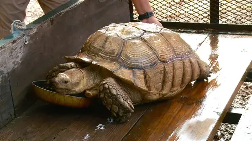 Casting La loi du Texas L'appât