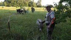 La loi du Texas Balles perdues