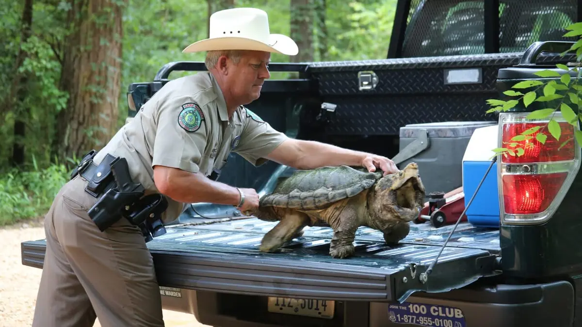 La loi du Texas C'est parti !