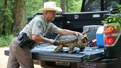 La loi du Texas C'est parti !