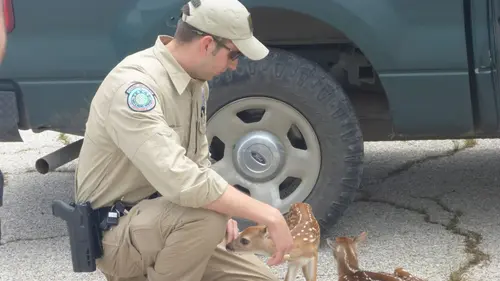 La loi du Texas Sur les eaux en streaming