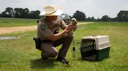 La loi du Texas Le calme après la tempête