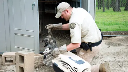 La loi du Texas Trafic aquatique