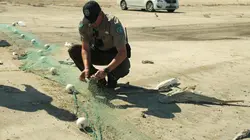 La loi du Texas La loi du lac