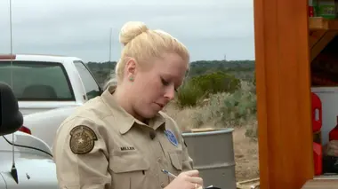 La loi du Texas Taureau en cavale