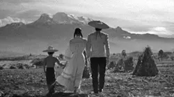 Visuel de La machine folle