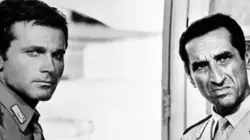 La mafia fait la loi